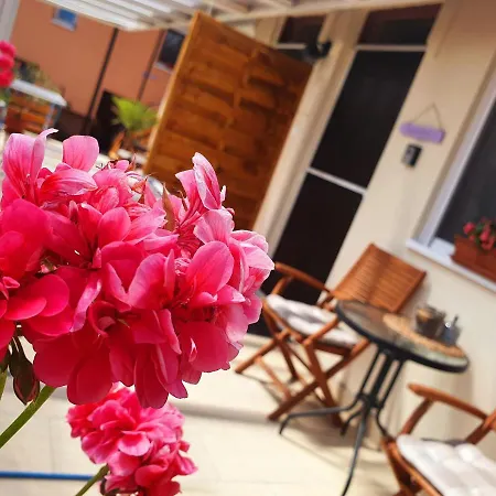 Apartment Lavendel
